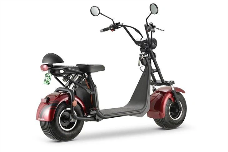 DAYI EEC Electric Mobility 1000W 60V 20AH