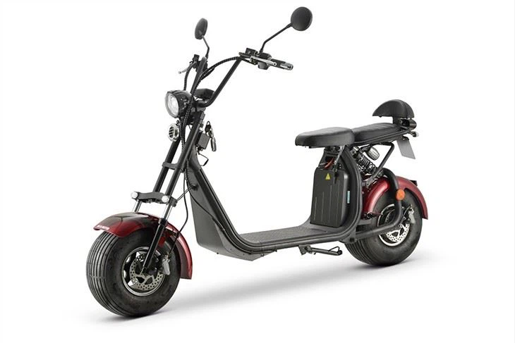 DAYIMOTOR 1000W EEC 2 Wheel Moped